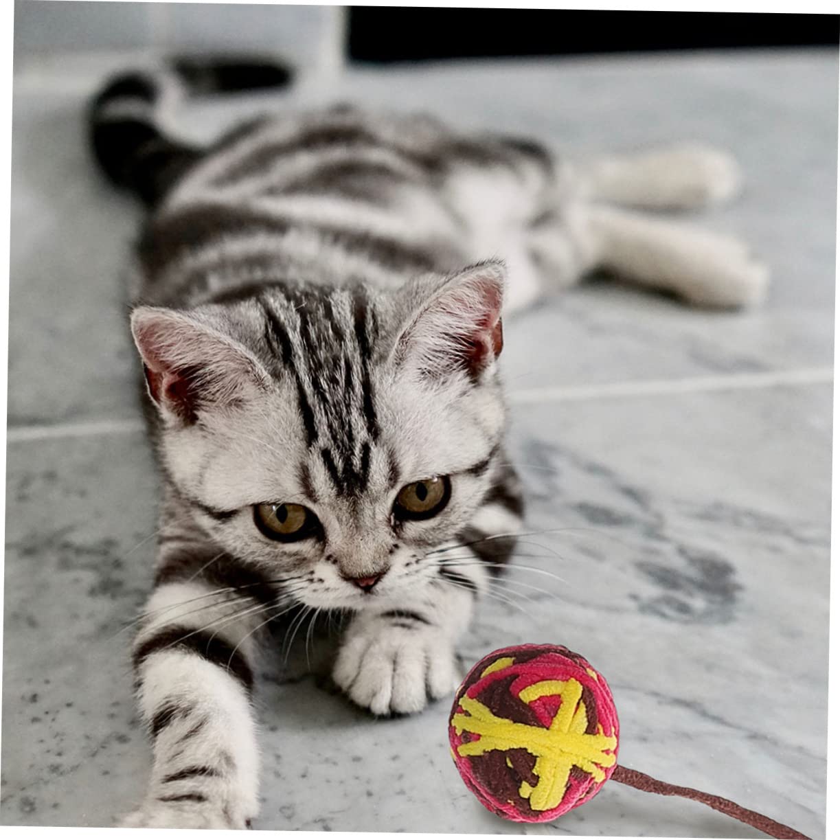 Kisangel 25stücke Katzenbälle Mit Glocke Strapazierfähiges Katzenspielzeug Für Aktive Kätzchen Fördert Bewegung Und Spieltrieb Interaktive Beschäftigung Für Katzen