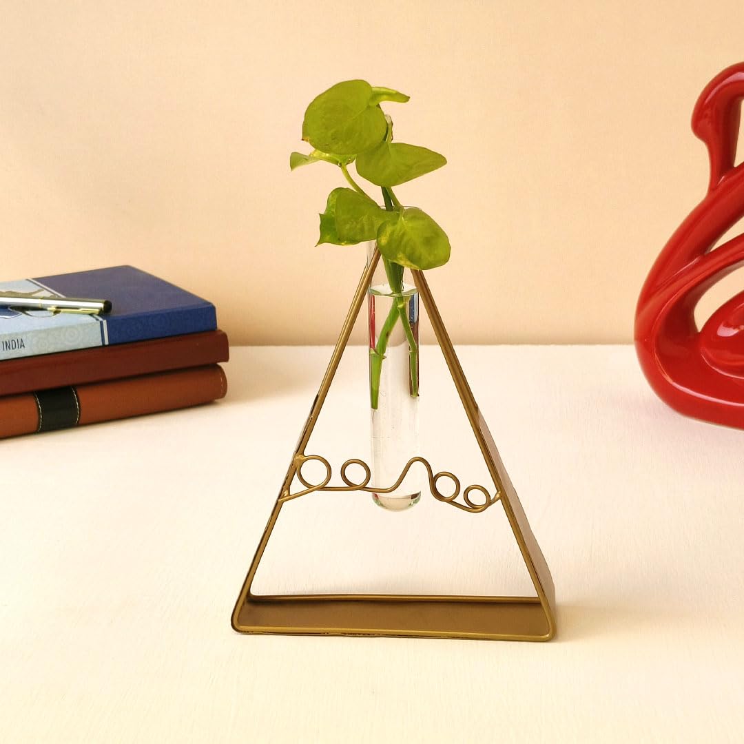Deco Design Gallery Golden Metal Shape Plant Holder with Glass Test Tube | Living Room Home Decor | Hydroponic Planter for Table Decor (Triangle) (B0DFSVPFSC) Amazon Price History, Amazon Price Tracker