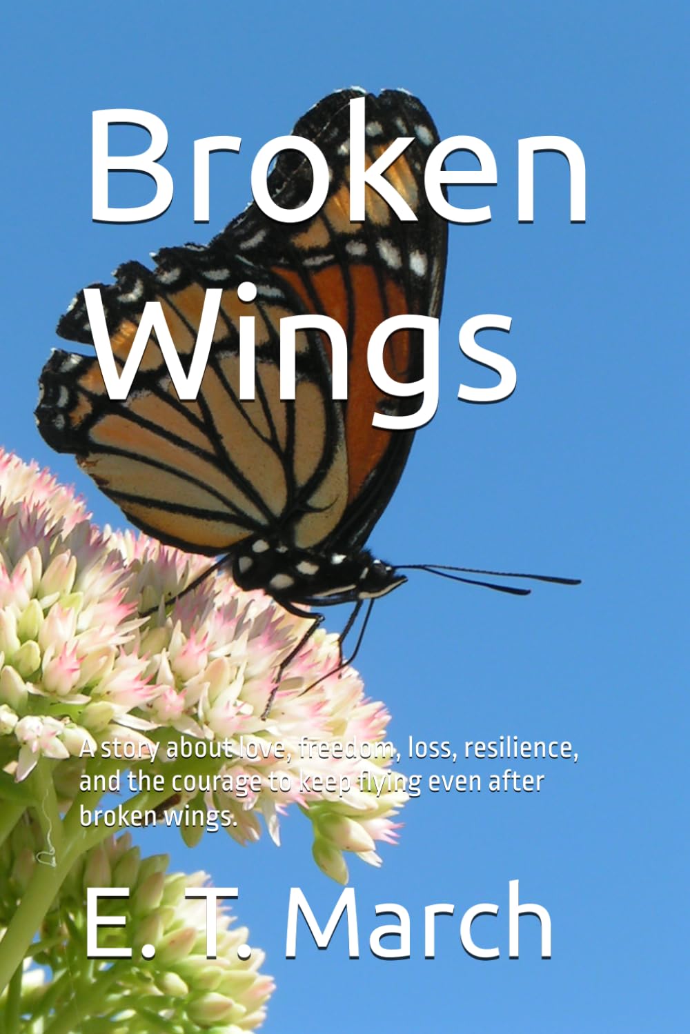Broken Wings: A story about love, freedom, loss, resilience, and the courage to keep flying even after broken wings.