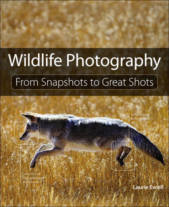 Wildlife Photography From Snapshots to Great Shots eBook Excell