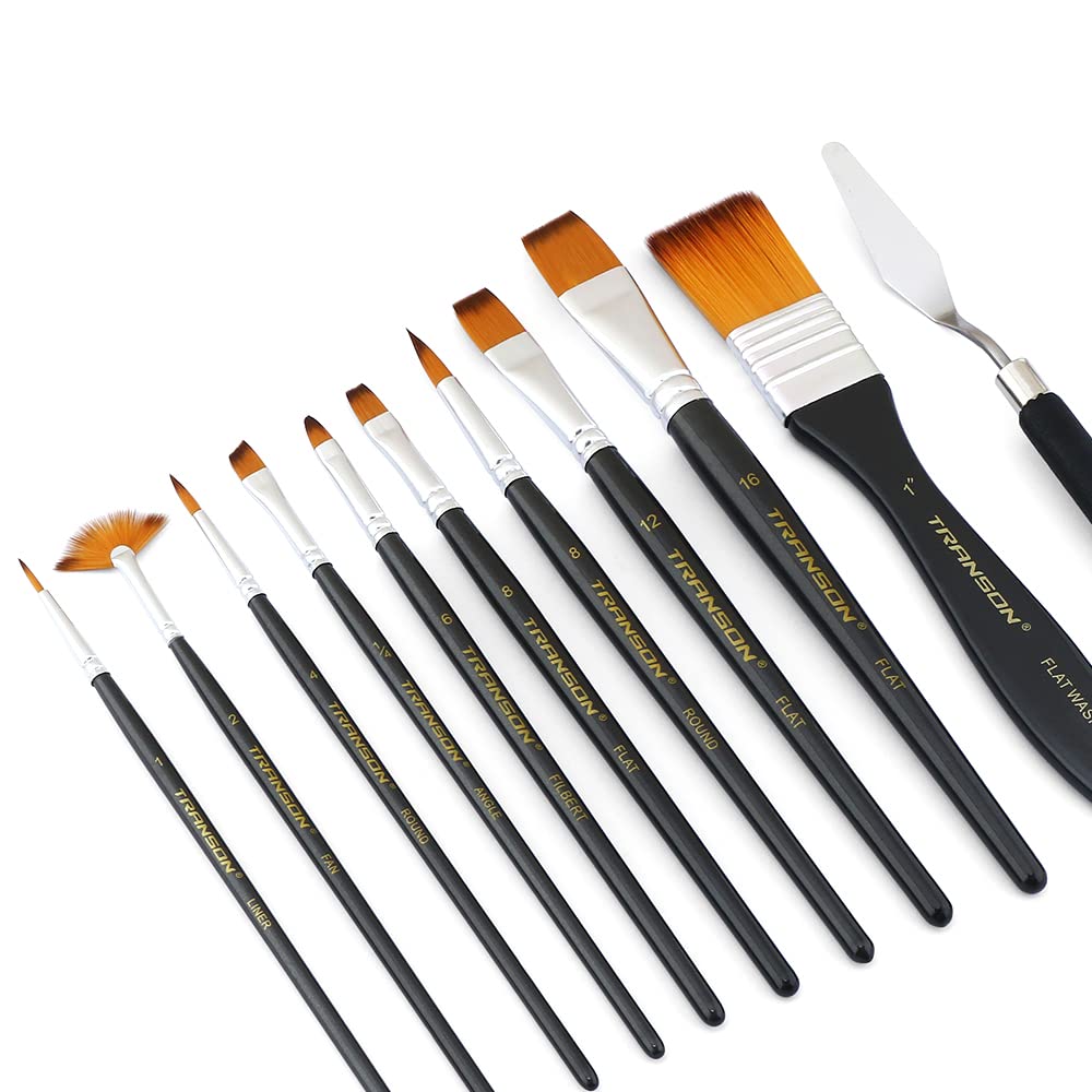 Transon Paint Brush Kit - 10 Brushes & Spatula -4
