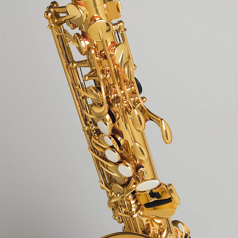 ヤマハYAMAHA YAS-62LSEⅡ アルトサックス本体他セット mt0112586_m.jpg