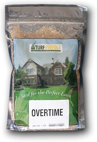 Semilla de césped de festuca alta para horas extraordinarias una mezcla duradera resistente a la sequía, raíces profundas para manejar todo lo que