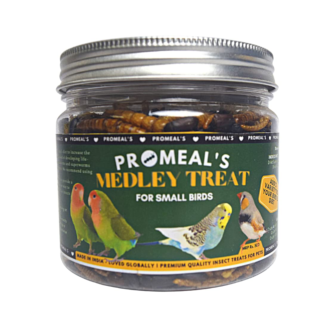 Promeal Medley Treat Insect Mix For Small Birds (11.9 Oz) - Flake, Count-image-30