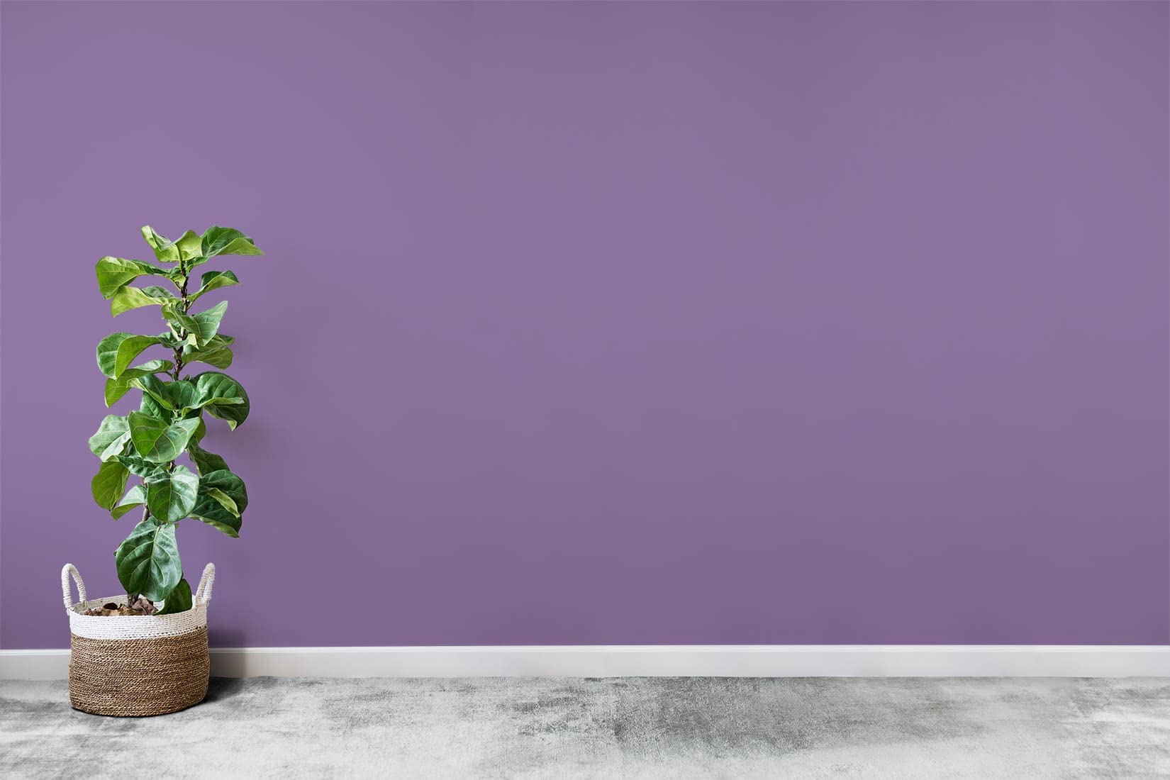 POK SATIN Peinture Mur Plafond – Intérieure Satinée, Lessivable, Multisupport - Milka 100m² - 10L