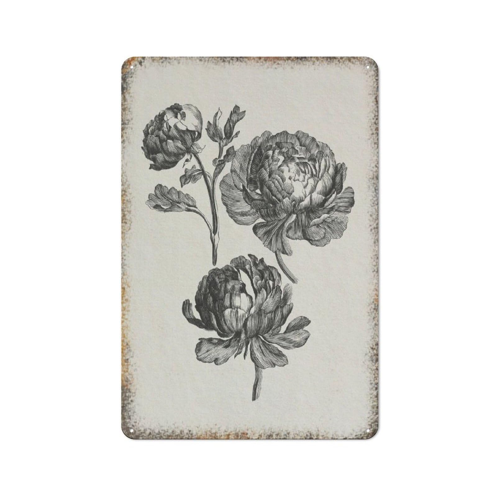 Vintage Peony Botanical Art Farmhouse Kitchen Home Wall Decor 8 * 12inch