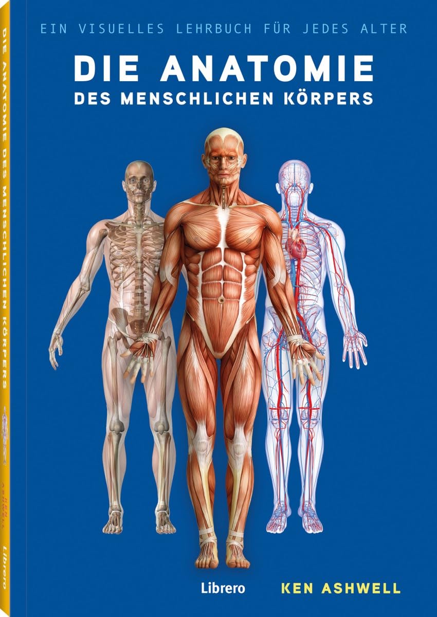 Die Anatomie des Menschlichen Körpers: Der Menschliche Körper