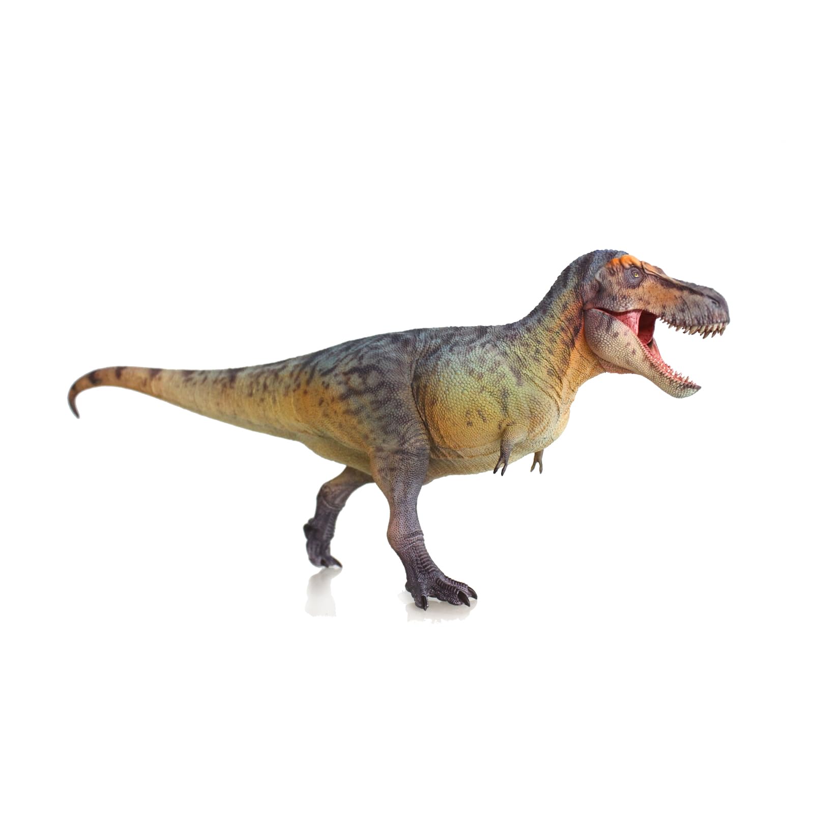New Tyrannosaurus REX 1：35 Science and Art Model (Lu Jun Yi)