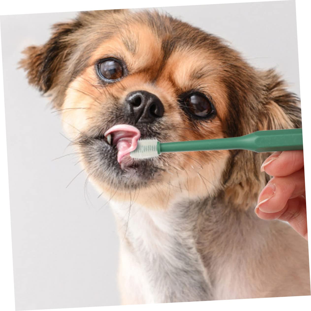 Kisangel 12piezas Cepillo De Dientes Para De De Mango Cepillo Manual Reutilizable Para y Cachorros Limpieza Efectiva y