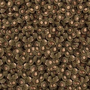 Sera Mangime in Granuli per Koi con Spirulina - 1000g - immagine 2