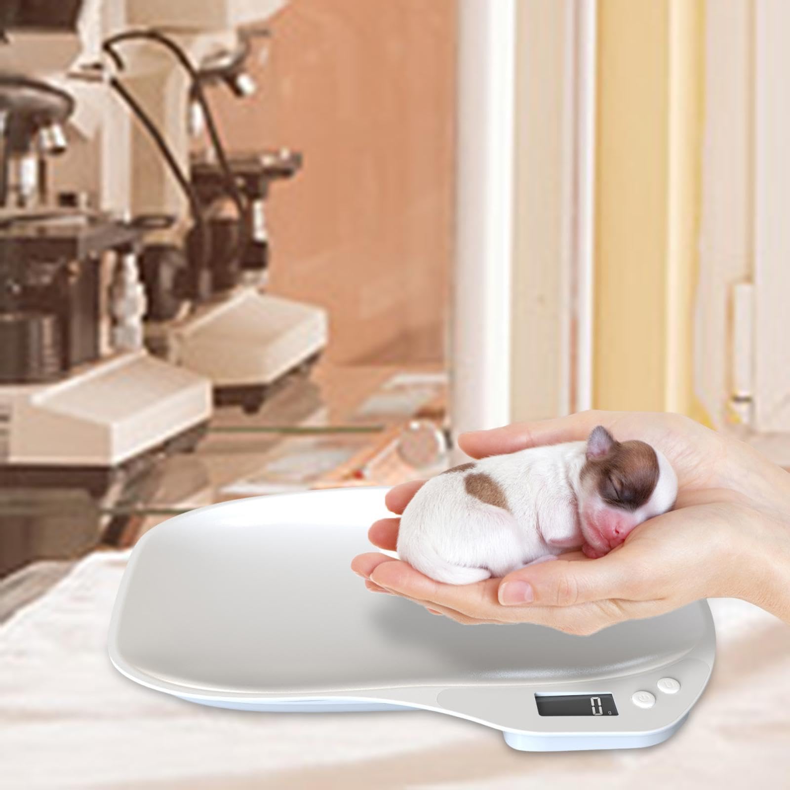Digital para Mascotas, Báscula Electrónica para Pesar Alimentos, Báscula de Cocina para Hornear.