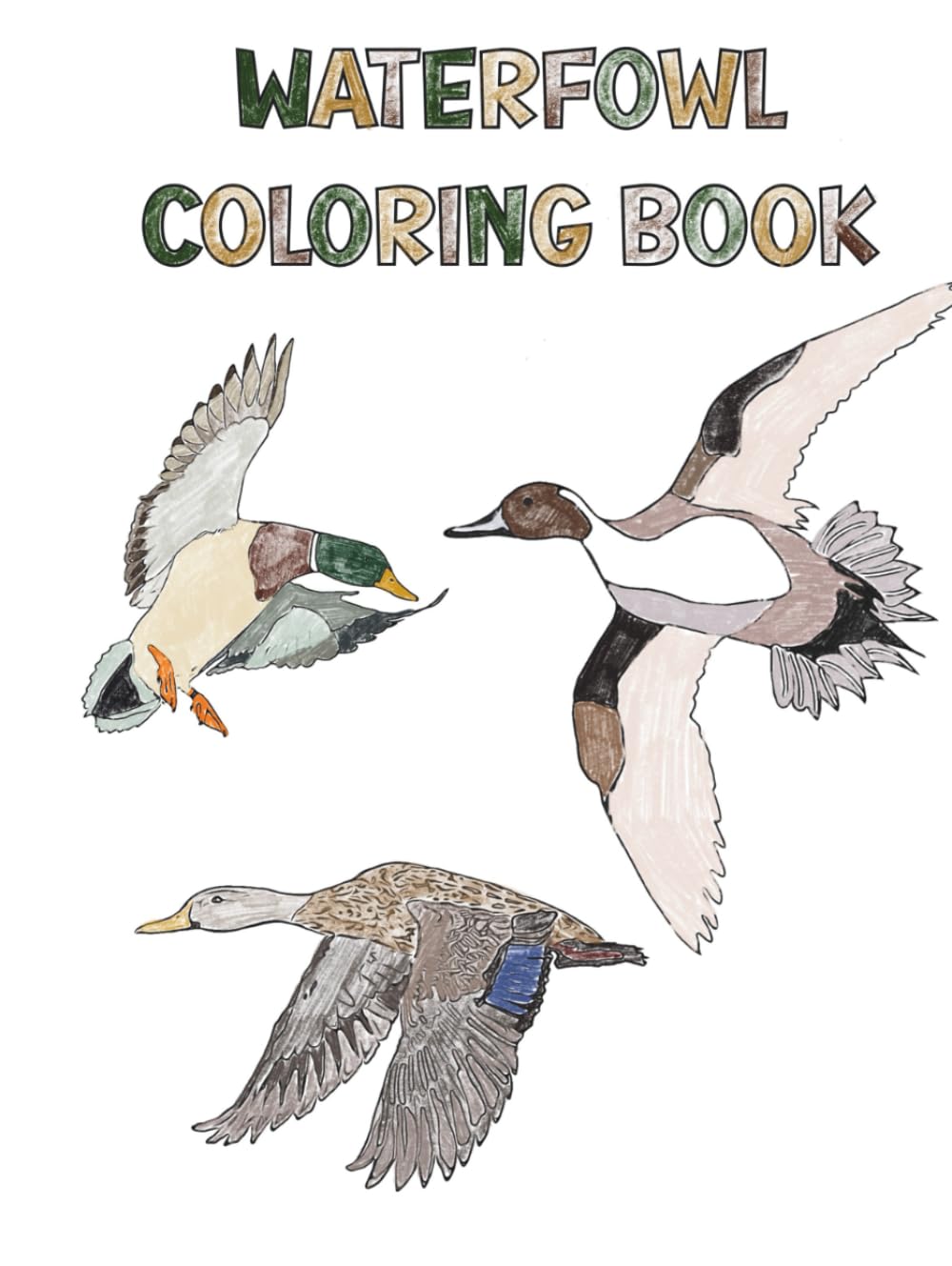 Waterfowl Coloring Book