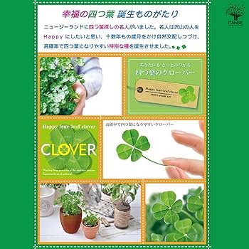 Amazon｜ITANSE 栽培セット きっとみつかる四つ葉の