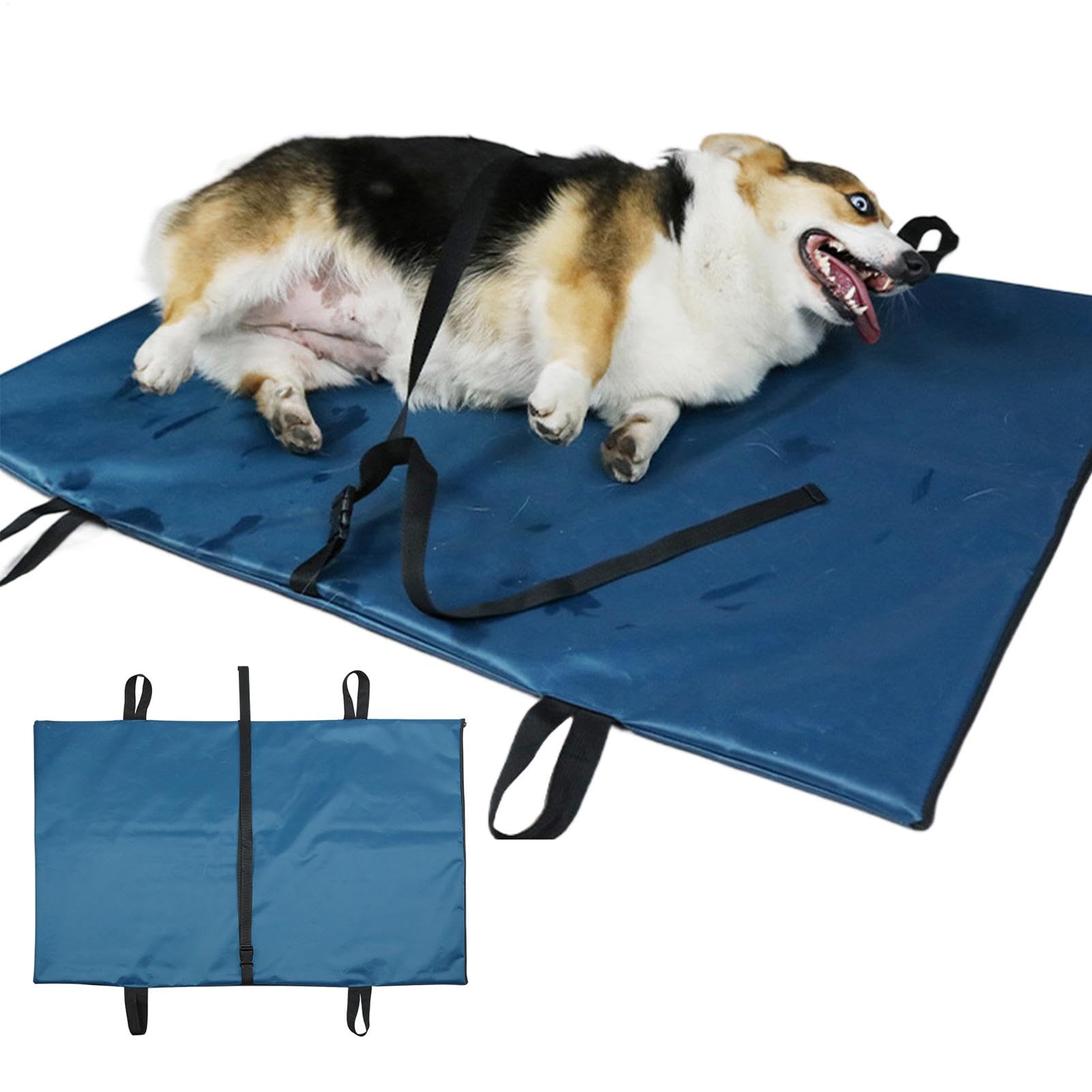 Cane Barella per Cane - Full Body Big Cat Stretcher, Animali Domestici Sollevamento La Barella Cablaggio Con Fodera Rimovibile | Pieghevole Emergenze Pet Carrier Con Maniglie Integrate Ascensore in