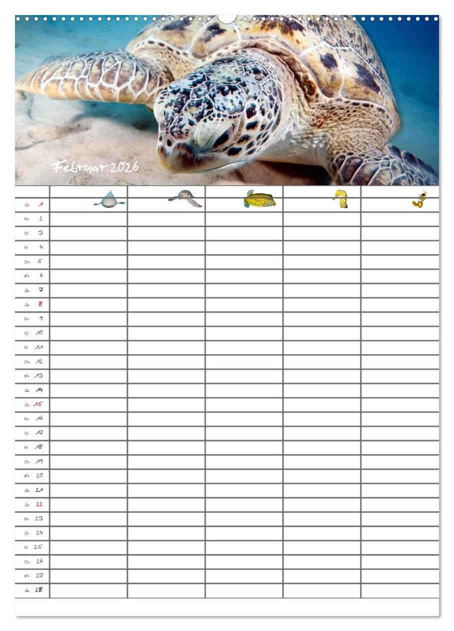 Der Unterwasser Familienplaner 2026 (hochwertiger Premium Wandkalender 2026 DIN A2 hoch), Kunstdruck in Hochglanz