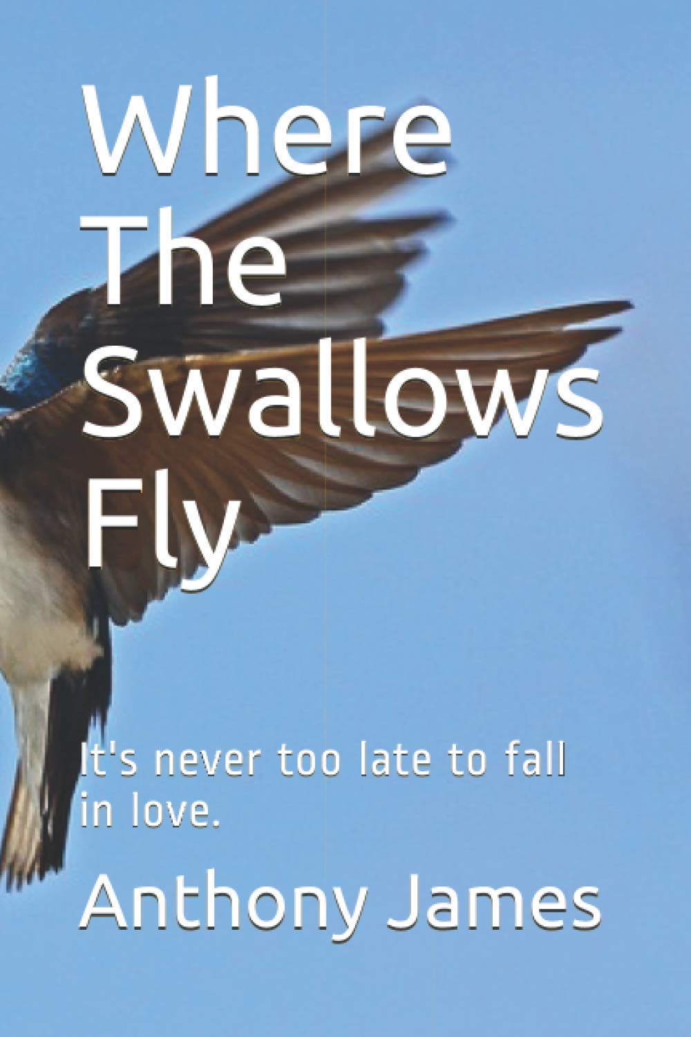 Where The Swallows Fly: It's never too late to fall in love.