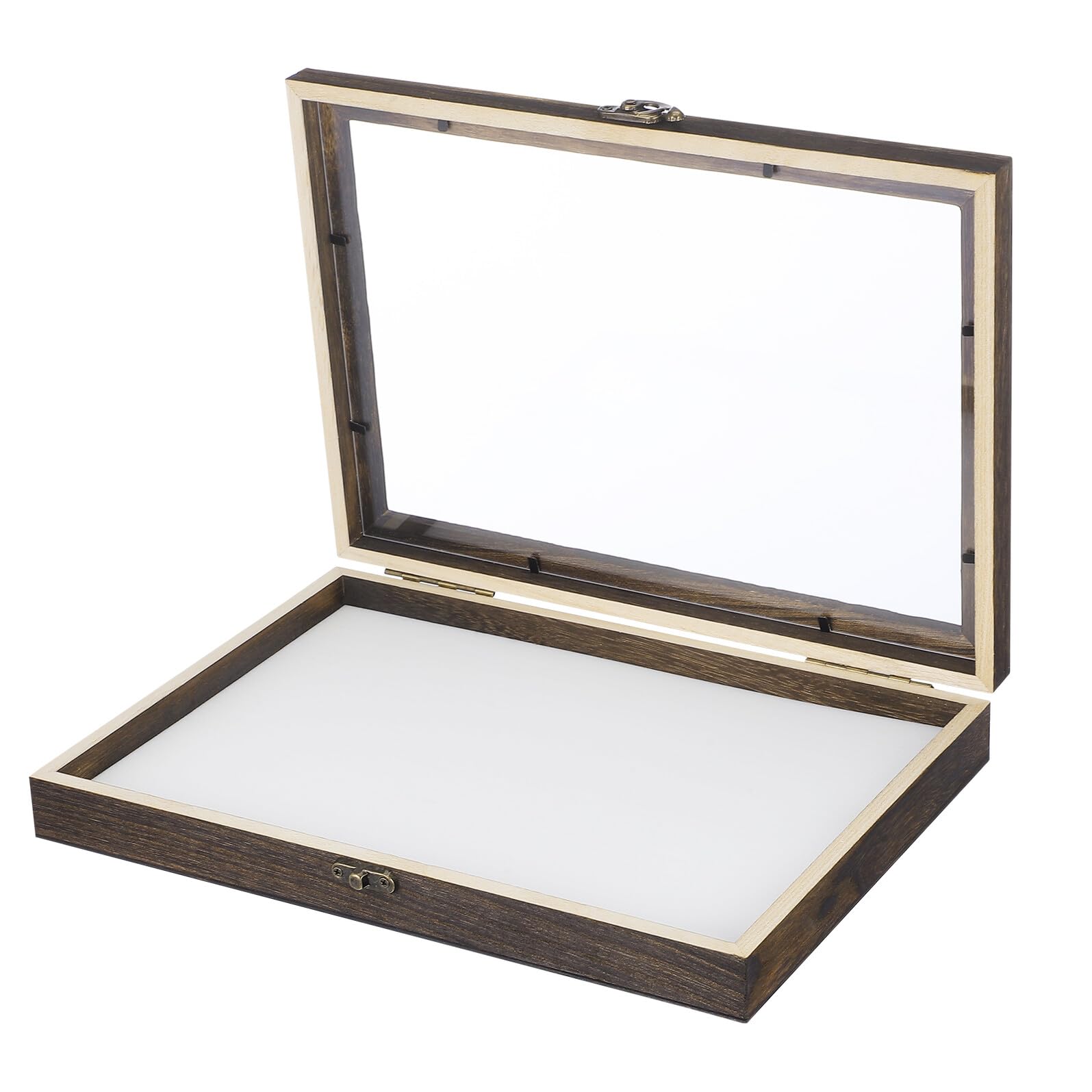 Healvian Caja de Muestras para Insectos con Vitrina de Madera y Tapa Transparente, Adecuado para Coleccionar Mariposas y Decorar Escritorios Estilo