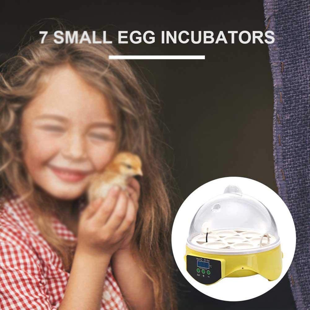 Mini Incubadora De Huevos, con Control Automático De Temperatura, Digital, para Aves De Corral, Patos, Pollos Y Palomas.