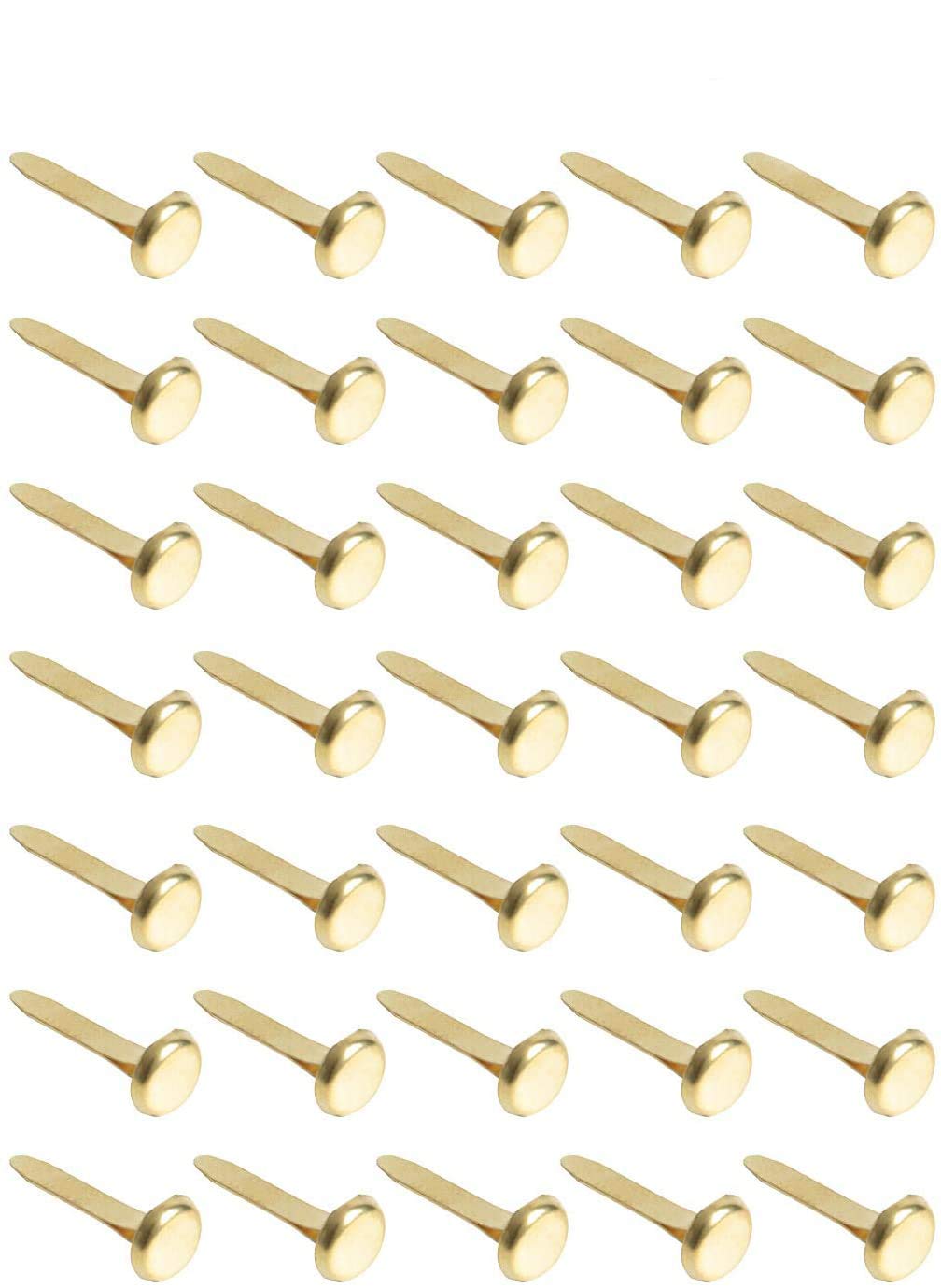 Paper Fasteners,Medium 3/4-Inch Brass Plated Scrapbooking Brads Round Metal Brads For Crafts