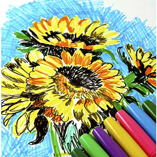 Pentel Arts Color Pen, Black, Box of 12 (S360-T101)