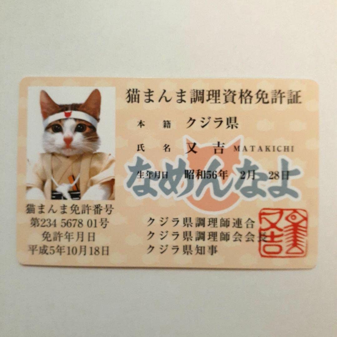 Amazon.co.jp: なめ猫 カード 4枚セット 猫まんま調理資格免許証