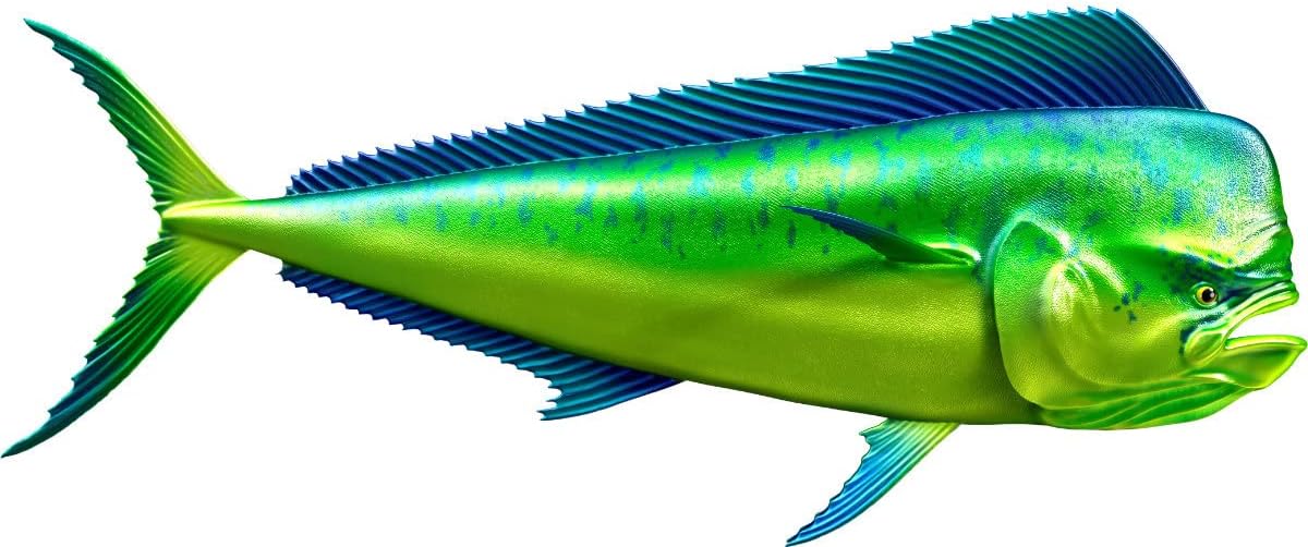 Mahi Mahi Beautiful Fish Decal | Fishing Decal for Boat, Car, Vehicle, Truck Etc. | Waterproof Vinyl Sticker | Many Sizes & Styles Available | 12" to 40" by Digital Fish Art (Large, Position 5R)