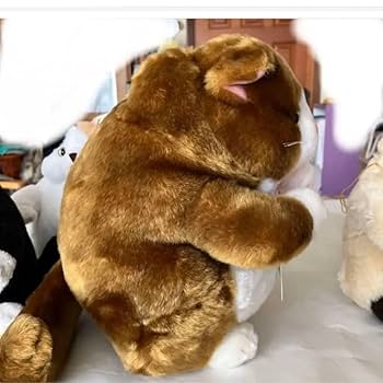 Amazon.co.jp: でぶねこ こてつ こすず こばん こはく 4匹 猫