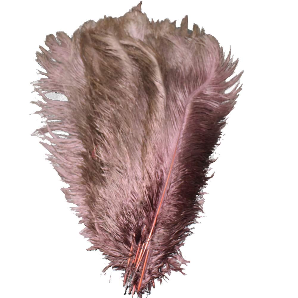 AABABUY 10pcs Ostrich Feathers 16-18inch(40-45cm) for Home Wedding Party Decoration (Brown)