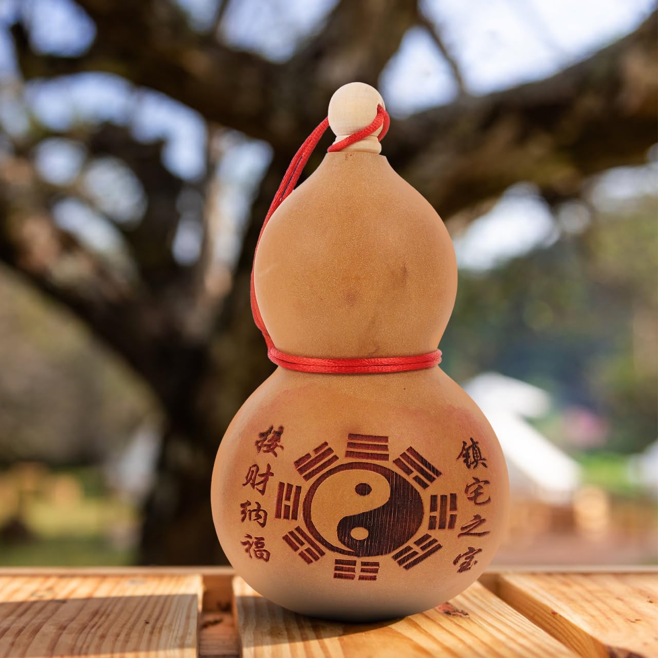 Amazon.co.jp: Hemoton 中国自然乾燥ひょうたんワインひょうたん