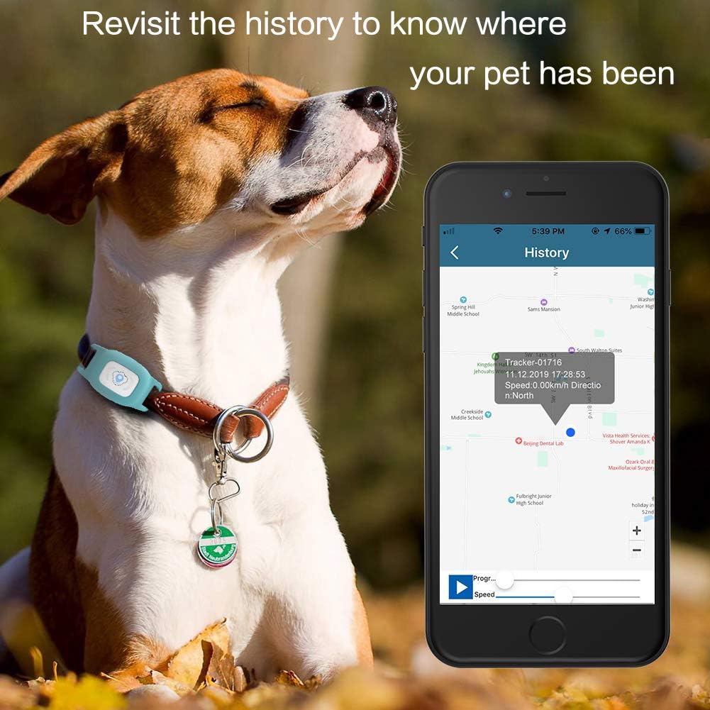 Smartphone screen displaying the Future GPS app with a map showing a pet's historical movement path.