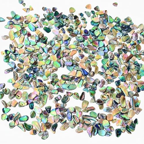 Abalone Shell Slices Polished Abalone Slices for Inlay Suitable for Abalone Shell Nail Art Jewelry Making luthiers Guitar Wood Inlay Musical Instrument Inlay Bracelet and Necklace Decoration