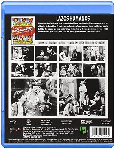 A Tree Grows in Brooklyn (1945) [ Blu-Ray, Reg.A/B/C Import - Spain ] image 4