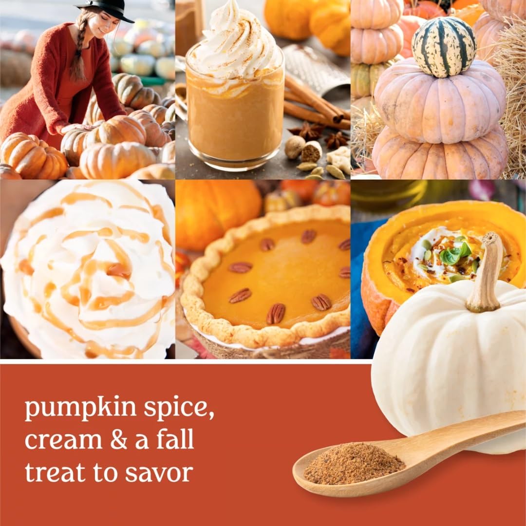 Yankee Candle® Whipped Pumpkin Spice Signature Glas 567g