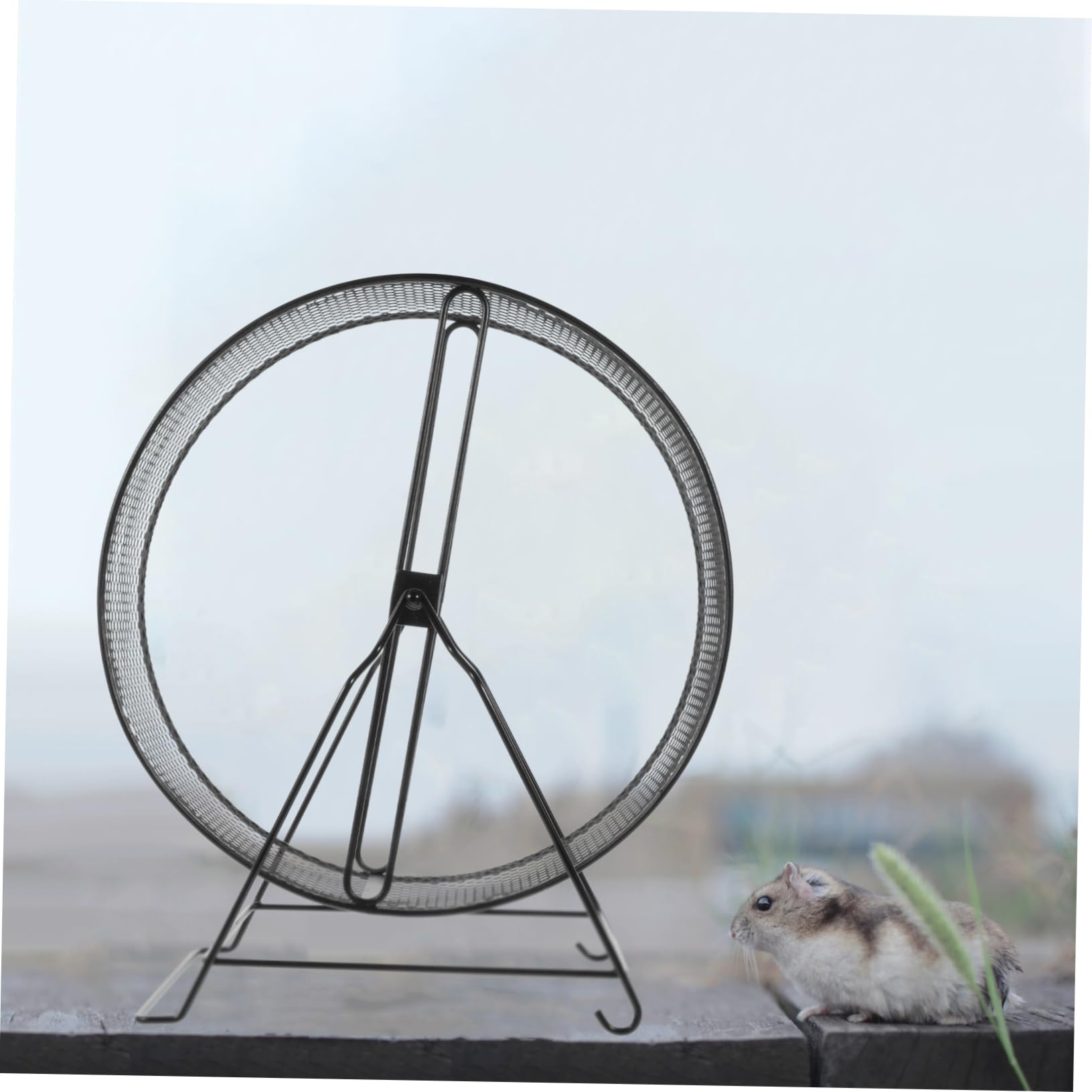 Rueda de Hámster Silenciosa con Soporte, Tipo Tornillo, Hierro Negro | Erizos y Pequeños Animales, Uso Seguro, Diseño Estable, Fácil de Fijar