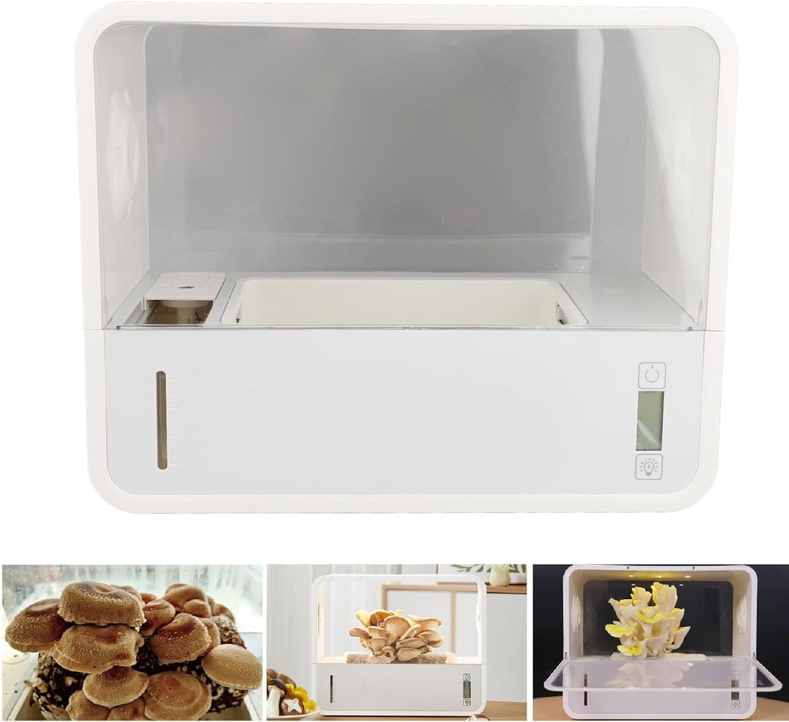 Mushroom Growing Tent, grow tent,mushroom grow box,Ushroom Growing Tent,growing tent,small grow tent,Smart Soilless Transparent Viewing Automatic LED Lighting Still Air Mushroom Box for Spores Horticu