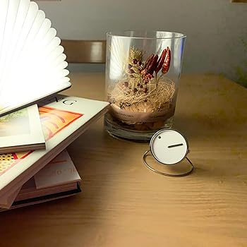 貝柄フォートフレーム 写真立て MDF 貝殻標本 立体 フォトフレーム 卓上 シンプル おしゃれ