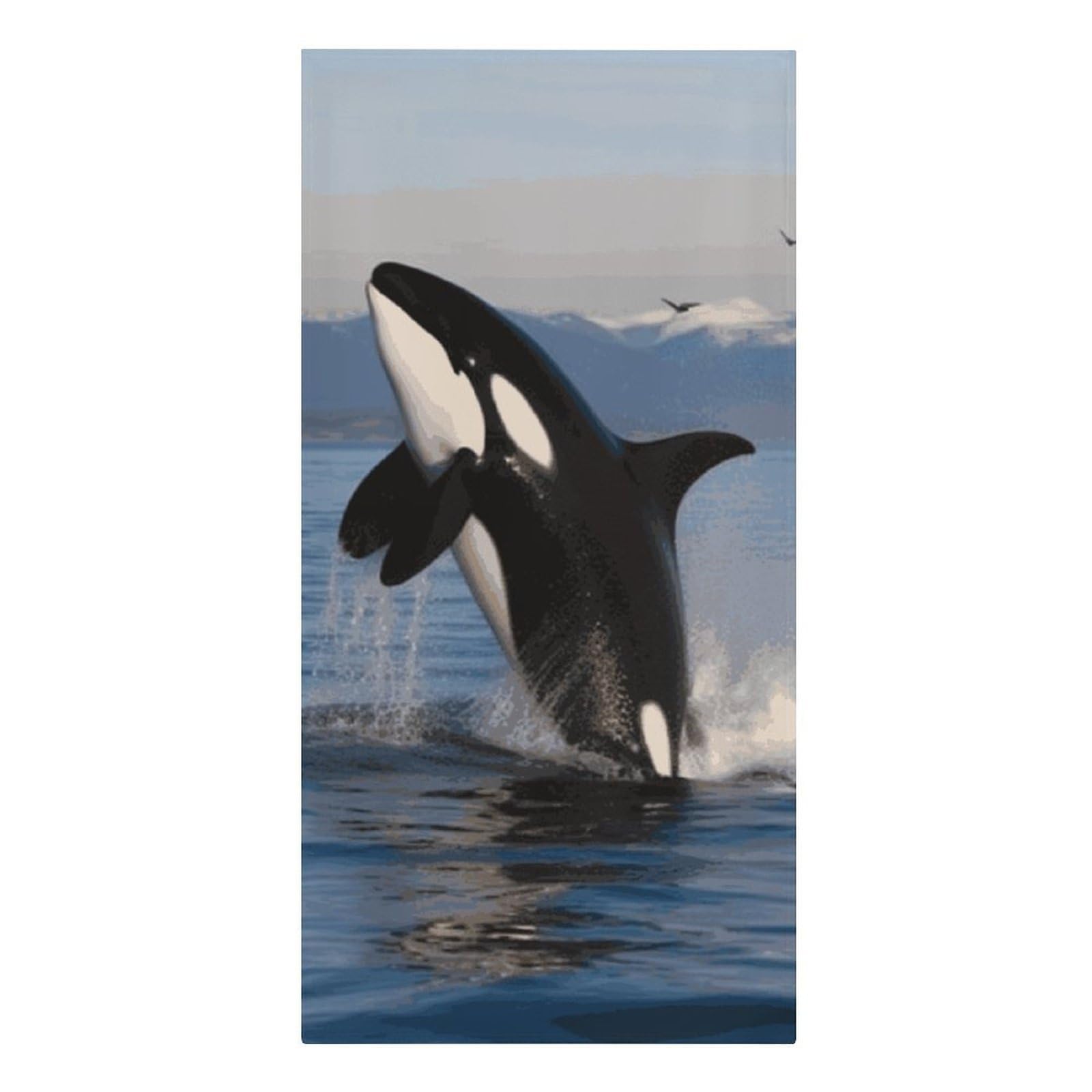 asbwuo Killer Whale Beach Towels Extra Large Quick Dry Absorbent