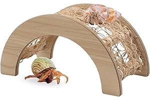 Hermit Crab Climbing Bridge: Paradise for Your Shelled Friends