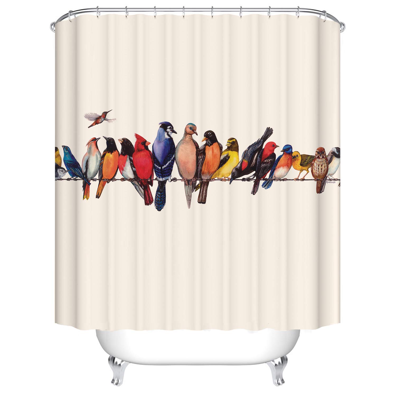 Gojeek Cute Cardinal Birds on Cable Shower Curtain, Colorful Hummingbird Cardinal Various Birds Breed Bathroom Decor Curtain with Hooks Waterproof