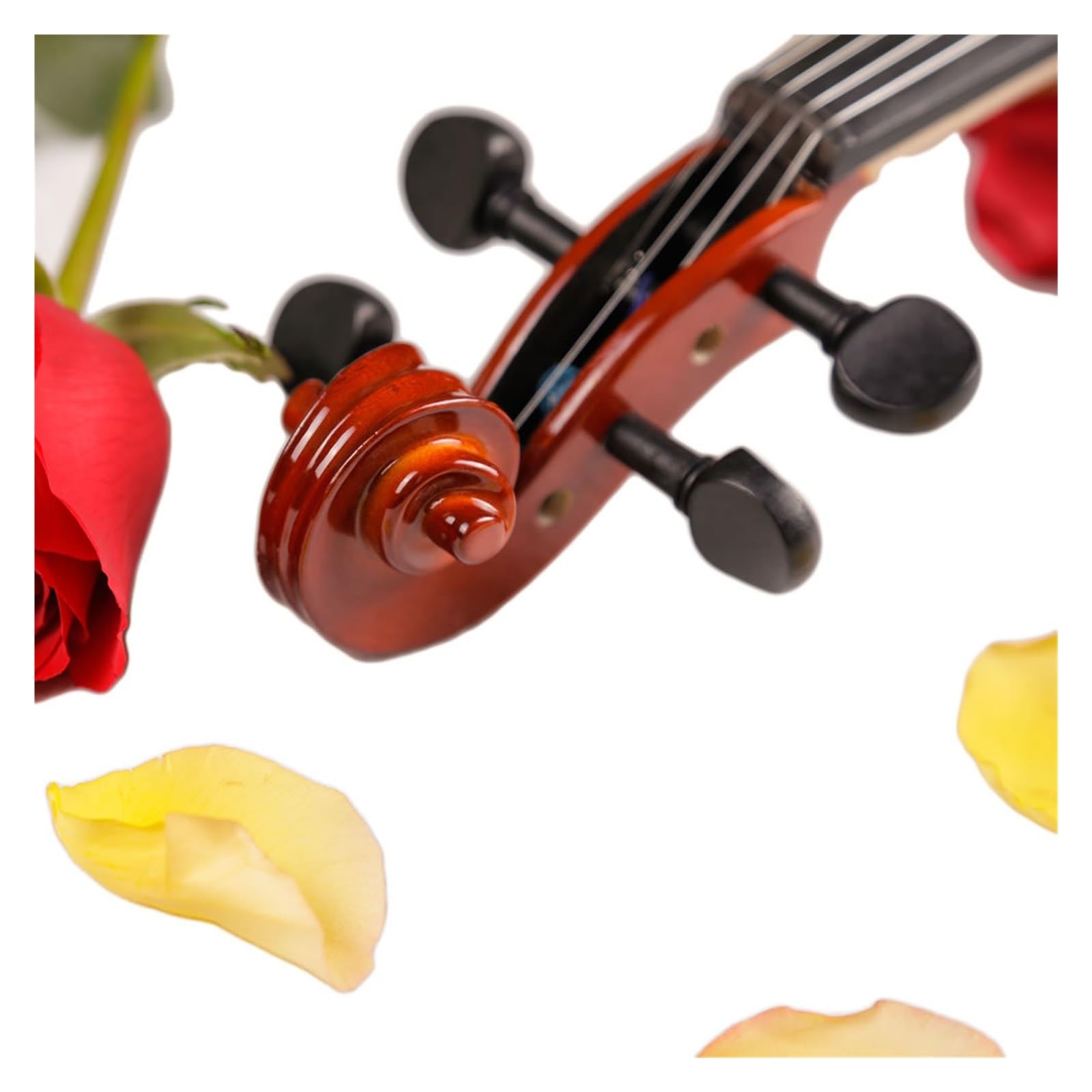Il Popolare Violino 4/4 In Legno Massello È Adatto Ai Principianti(1/2)
