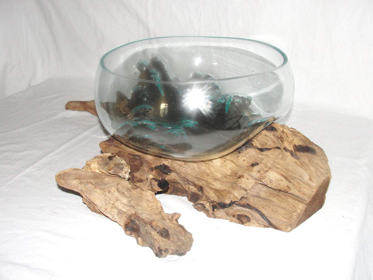 Deko Glasschale Ø 30 cm Obstschale Blumenschale auf Wurzel-Holz, Vase Schale mit Treib-Holz Dekovase Dekoschale charakteristische Dekoration