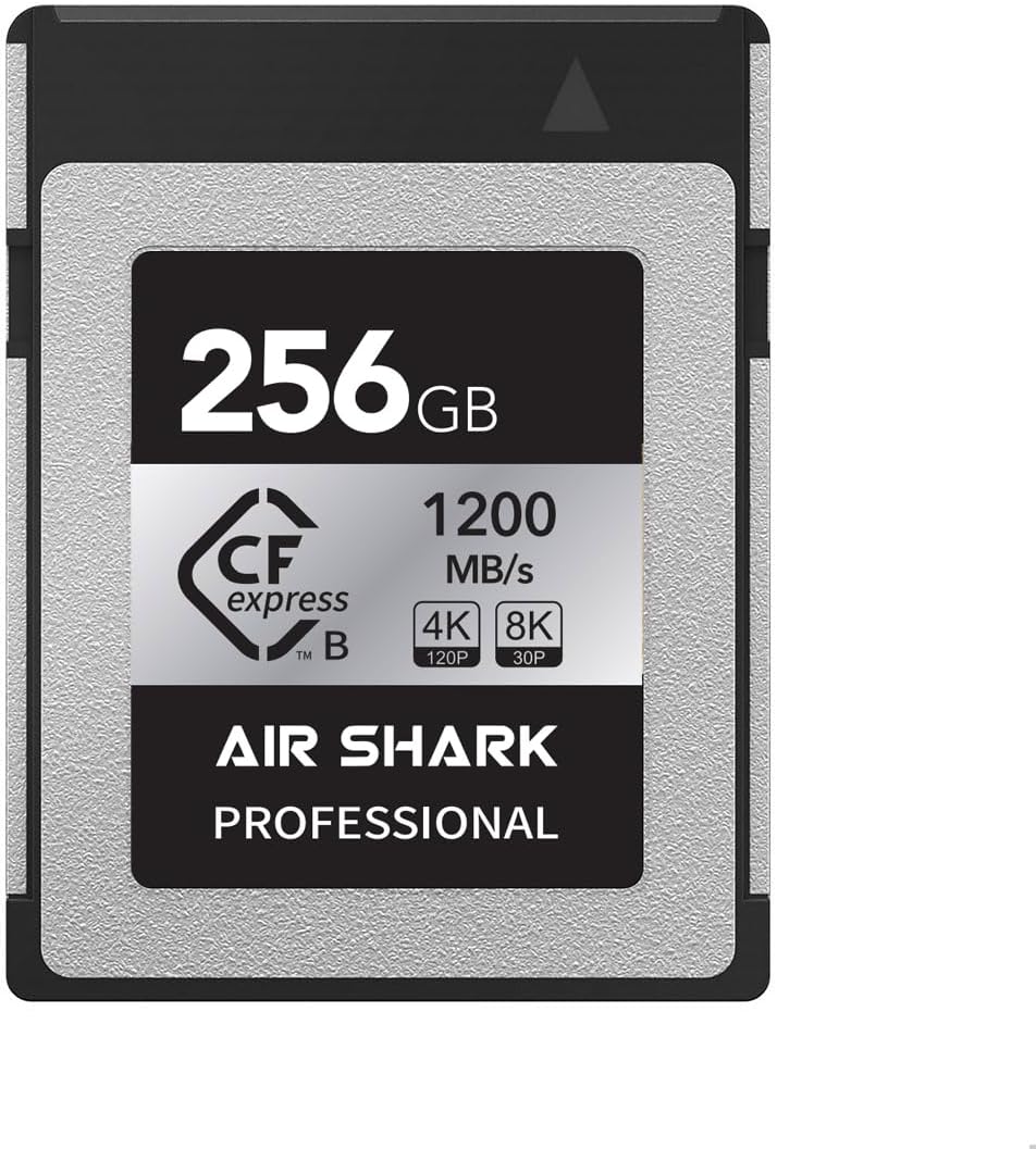 Professional CFexpress Type B Memory Card, 256GB, 1200MB/s Transfer Speed, 4K/8K Compatible (256, GB)