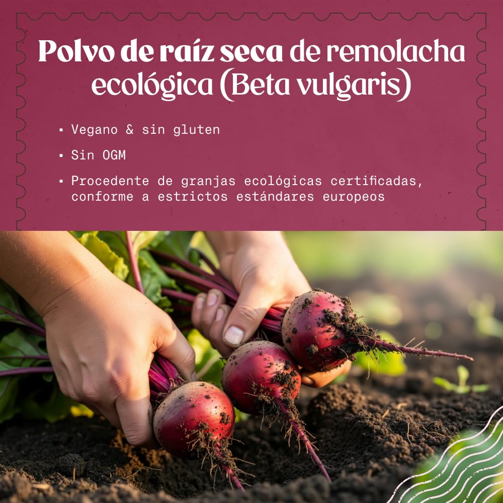 NaturaleBio Polvo de remolacha 950g. Superfood orgánico de raíz deshidratada. Fuente natural de nitratos y betalainas. Para uso diario en una alimentación equilibrada. Vegano y sin gluten.