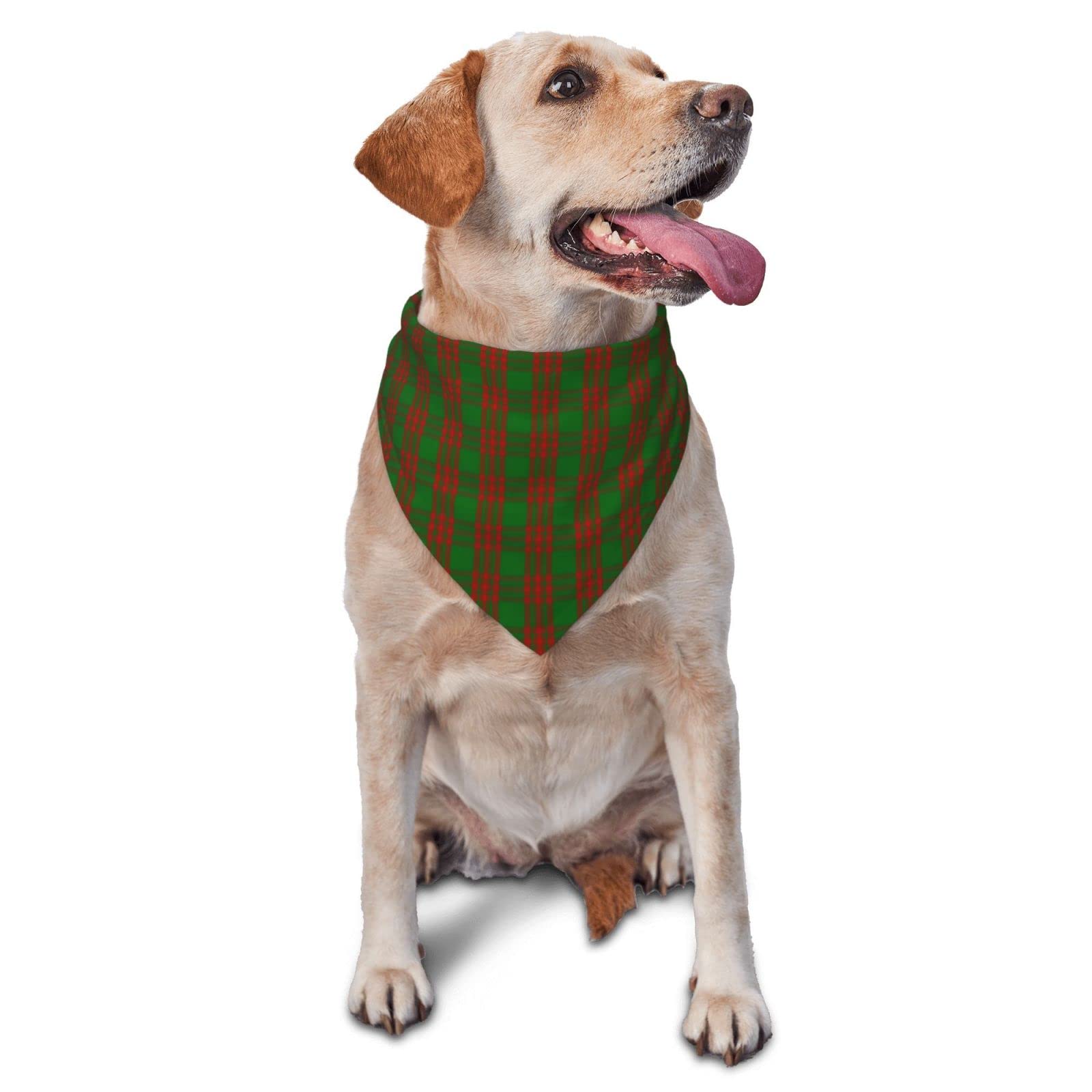Sipeigyd Pet Triangle Scarf, Clan Menzies Tartan pet cat and Dog Scarf, Pet Clothing Accessories, Plaid Pet Scarf, for Small to Large Dogs Cats