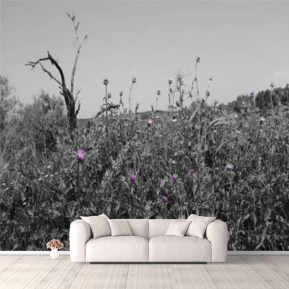 Papier peint photo 3D repositionnable et lavable pour habiller les murs