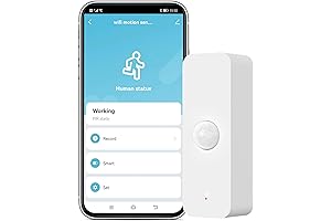 Smart Motion Detector for Home Security and Smart Home Automation