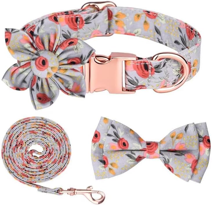 sniff and bark Dog Collar and Leash and Harness Set