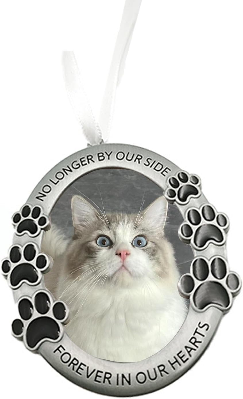 Pet Memorial Ornament, Personalized Pet Memorial Car Rearview Mirror Hanging Decor, Car Interior Rearview Mirror Accessories, Custom Photo, Forever in Our Hearts Remembrance Gift - Image 1 of 6