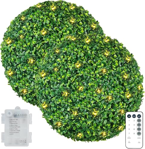 Exotic dried flower bouquet 2 PCS 16-21