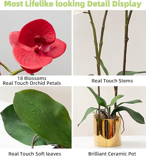 Vista 15 de CXGS Plantas artificiales de orquídeas artificiales de tacto real, orquídeas falsas en jarrón de cerámica de 20.9 pulgadas, orquídea falaenopsis